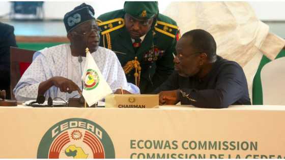 Breaking: Tinubu in meeting with key ECOWAS stakeholders, Ribadu, over Niger coup