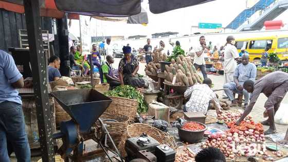 Breaking: Nigeria’s inflation rate jumps high to 15.63%, NBS