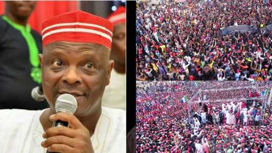 2023 presidency: Kwankwaso reigns supreme as streams of supporters in red take over Kano streets