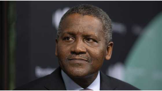Aliko Dangote's sugar business made him N13billion richer in twelve months