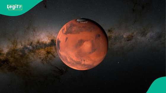 Meteorite from mars sold for $4.3m sparks outcry over Niger’s cultural heritage