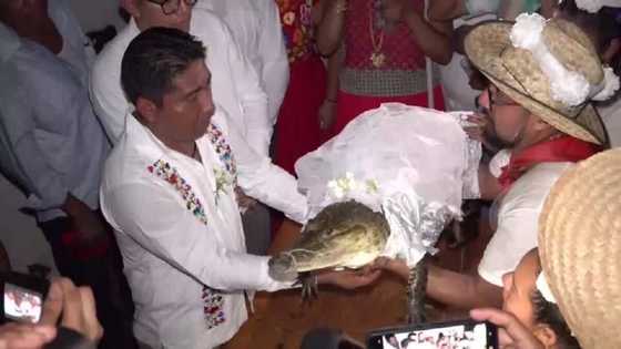 Allah Daya Gari Banban: Yadda Aka Sha Shagalin Bikin Wani Basarake Da Amaryarsa Kada