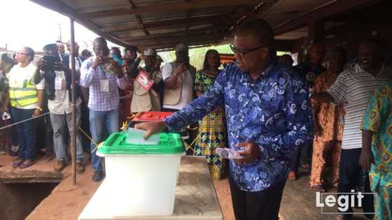 Unique background: Peter Obi finally opens up on who Nigeria needs in 2023