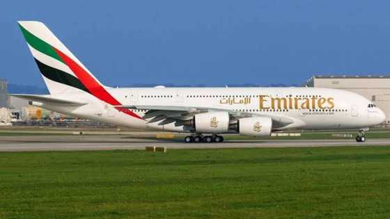 Just in: Another 246 Nigerians evacuated as UAE govt pays for their flights, Covid-19 testing fees (photo)