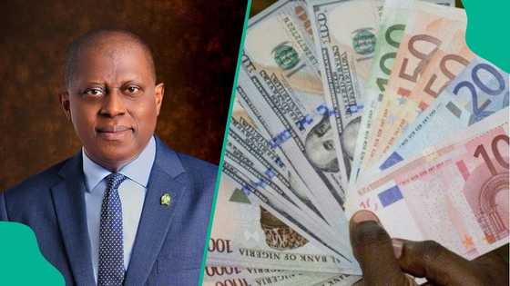 Naira exchange rate today: How much the dollar, euro and pound Trade for in the official market