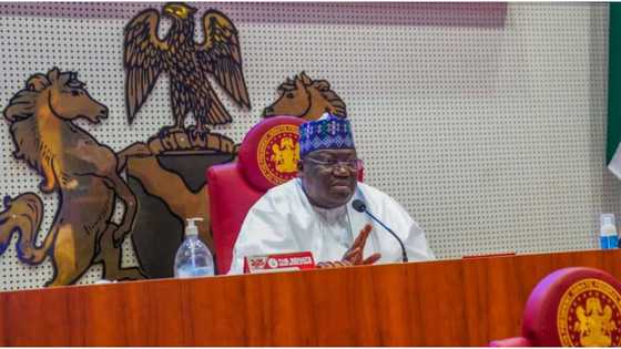 Group sends strong message to Lawan, Omo-Agege, over plot to elect first-term lawmaker as senate president