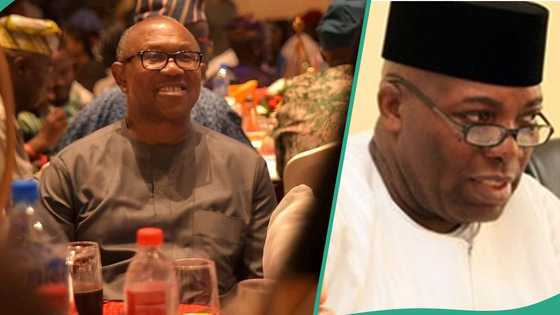 "Obi was nowhere": Ex-campaign DG blasts LP presidential candidate, makes bogus allegation