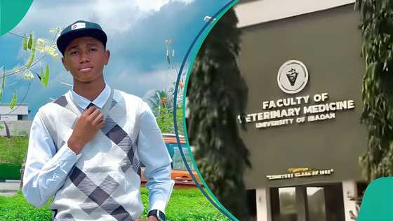 Man who applied to study Medicine at University of Ibadan misses cut-off mark, shows post-UTME score