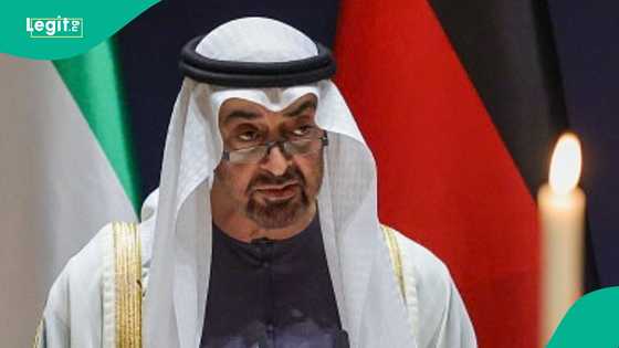 UAE announces 2 African countries whose family members can get special visa for 60 days