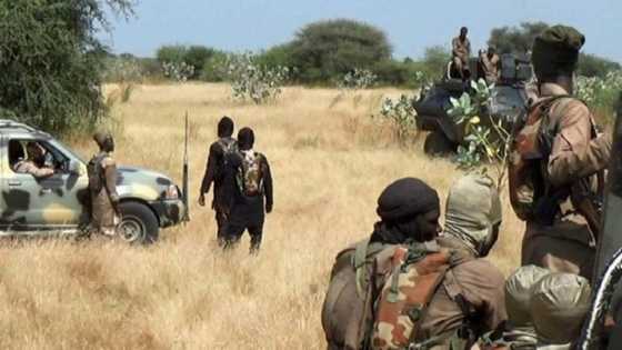 Insecurity: Terrorists kidnap WHO staff in Borno, sources confirm