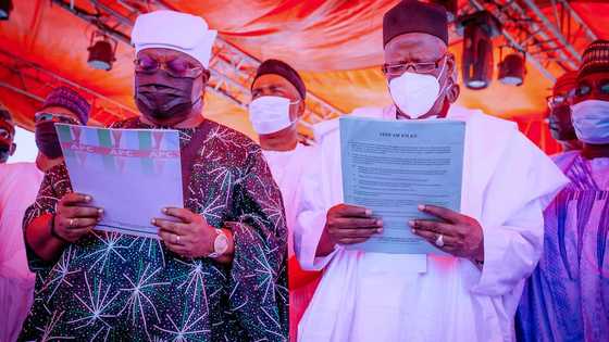 2023 presidency: APC may disqualify Amaechi, Ngige, others
