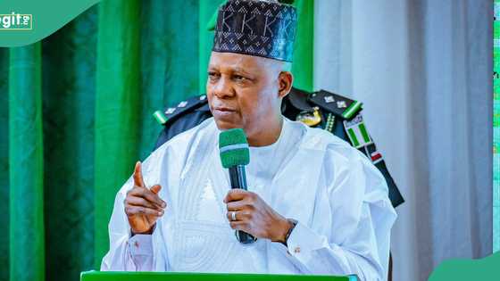 Shettima announces how 13 US citizens came to Nigeria for cheap kidney transplant, details emerge
