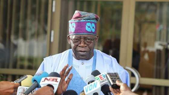Rikicin manoma da makiyaya: Ka gaggauta yin taron tsaron kasa, Tinubu ga Buhari