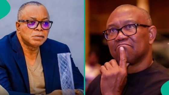 "I hate Peter Obi": Edo APC chairman declares, insists on security clearance before visit