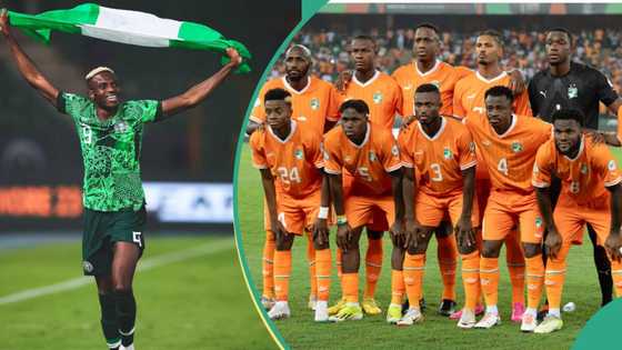 AFCON final: Former Super Eagles goalkeeper predicts outcome of Nigeria vs Ivory Coast match