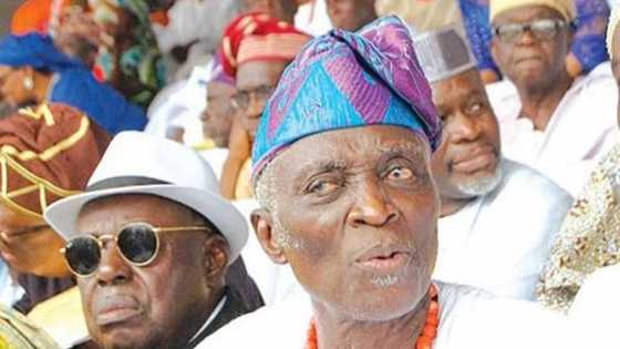 2023: Scrapping zoning will have grave consequences for Nigeria - Yoruba elder