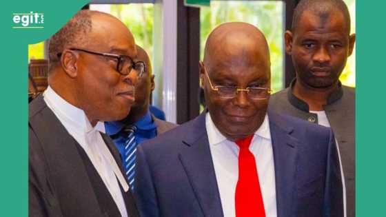 CSU certificate saga: APC trade tackles with Atiku says "political career at a standstill"
