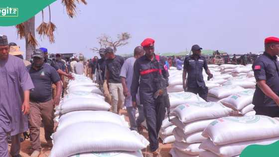 ‘Yar kunar bakin wake ta dasa bam a Borno, mutane sun mutu a wajen biki