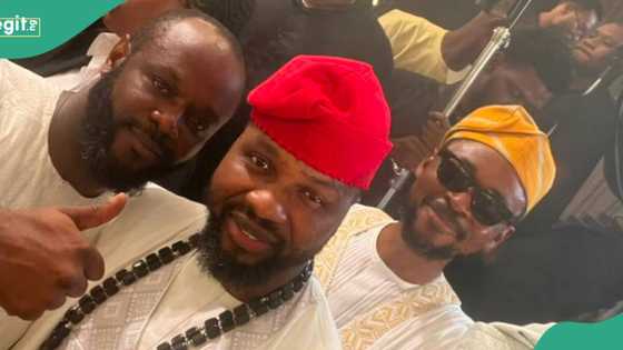 Chivido 2024: Seyi Tinubu, Peter Obi's supporter "unite" at Davido-Chioma's wedding