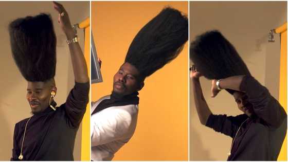 Man with long hair that stands straight like tall tree goes viral, amazing video emerges on TikTok