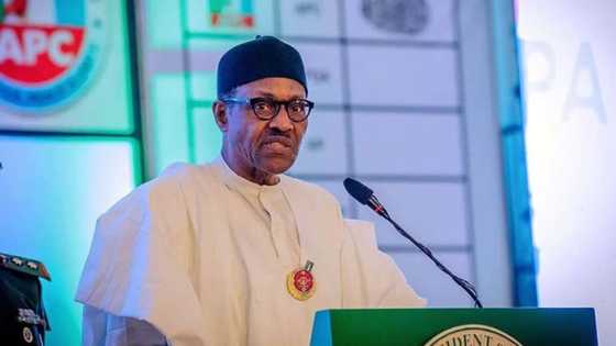 Dama ta samu: Buhari zai ba masu digiri bashin miliyoyi saboda rage zaman banza