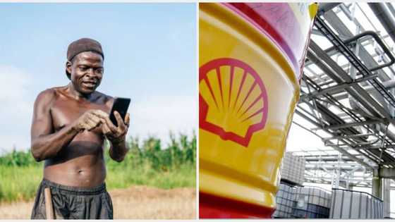 Shell to pay more than N7.14bn to four farmers and their communities in Niger Delta