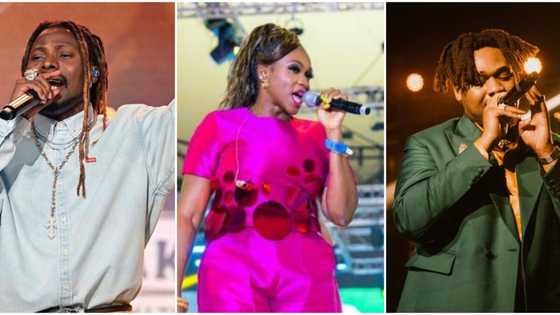 Videos of Asake, Naira Marley, & 8 other top musicians who performed at Tinubu’s pre-inauguration concert
