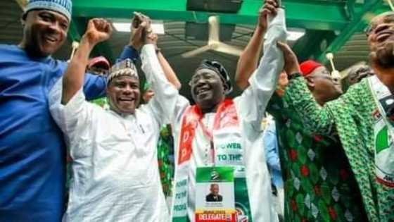 Organisation blasts new PDP national chairman Ayu over comments against Buhari