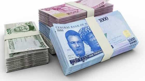 Abun Farin Cikin da Ya Faru da Yan Najeriya Bayan CBN Ya Kara Wa'adin Musanya Sabbin Kuɗi