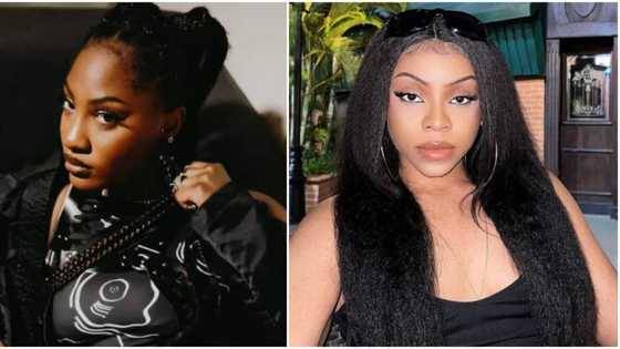 Tems stirs reactions as she cancels Kenya show, netizens blame singer Fave: "She gossiped"