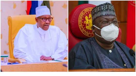 Direct Primaries: After 3 rejections, confusion trails Buhari’s return of Electoral Act Amendment Bill to NASS
