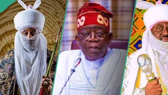 Sarkin Kano: Matasan Arewa sun rubuta wasika ga Tinubu, sun yi muhimmin gargadi