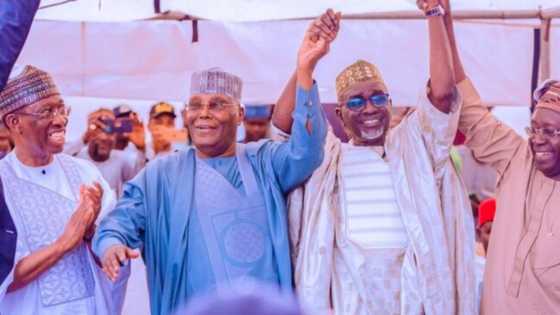 Wata sabuwa: INEC bata manna sunan Shekarau a matsayin dan takarar sanata a PDP ba
