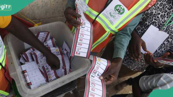 2027 poll: Sam Amadi, NLC, TUC, others take action to revamp electoral system, correct 2023 failures