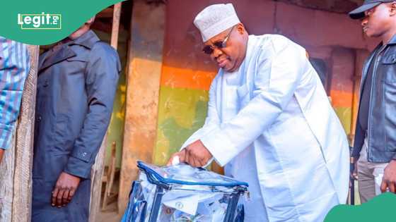 Breaking: Winners finally emerge in Osun LG elections