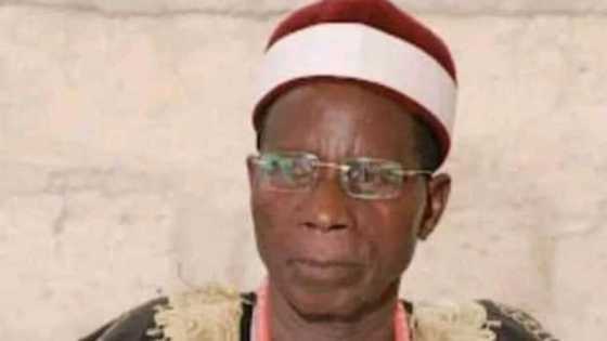 Yanzu-Yanzu: Yan bindiga sun kashe wani babban Basarake a jihar Arewa