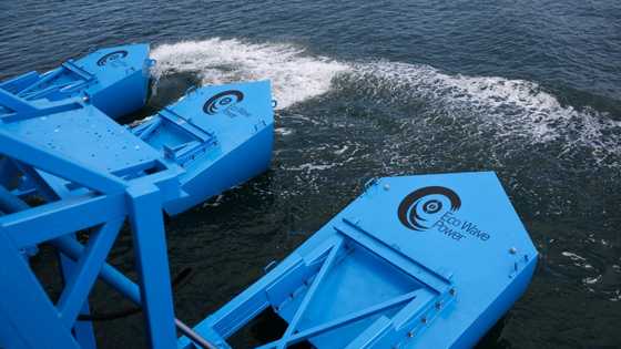 New wave: Sea power turned into energy at Los Angeles port