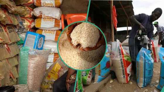 Rice millers reveal lowest price they can sell 50kg bag as FG targets N55,000