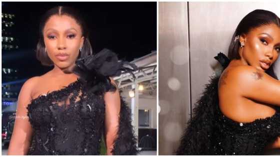 BBNaija Mercy's daring look at birthday event sparks mixed reactions: "Is this not too much?"