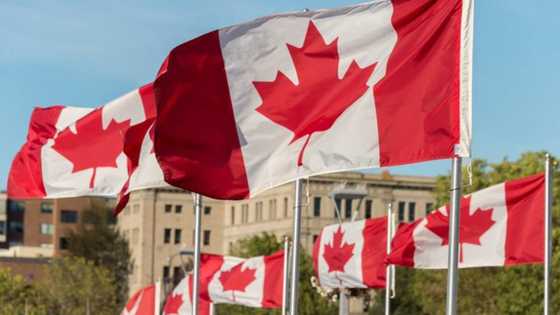 Canada visa lottery: Is it real?