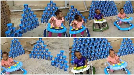 "Una don try": Nigerian triplets finish 168 tins of Peak baby milk, mum shares video of plenty empty cans