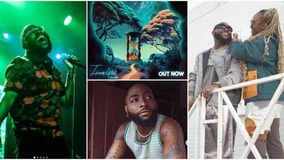 Grammys, Afrofusion, different & 4 other things you need to know about Davido’s new album ‘Timeless’