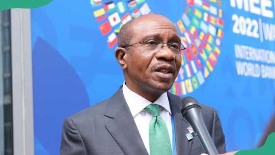 Where is Emefiele now? The latest on Godwin Emefiele and his legal situation