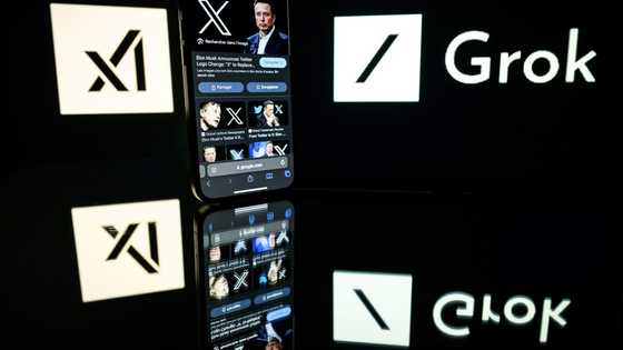 Chatbot Grok stirs confusion over suspension after Gaza claims