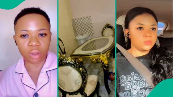 Lady discloses what brought out 5 snakes from her house, video gets attention on TikTok