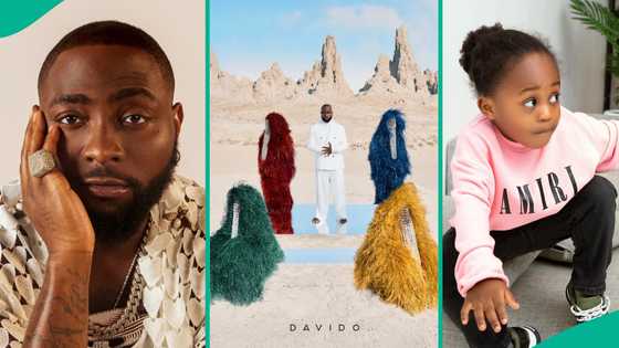 Davido: Backlash as Lady uses Ifeanyi’s death to berate OBO's 5ive album, "All because of stanship?"