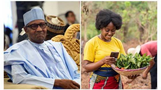 199 export firms to get N308.45 billion in Promissory Note from FG
