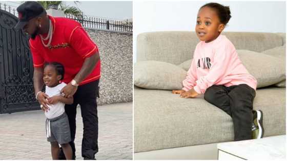 "You will rise again": Fans continue to drum emotional support for Davido 2 weeks after Ifeanyi's death