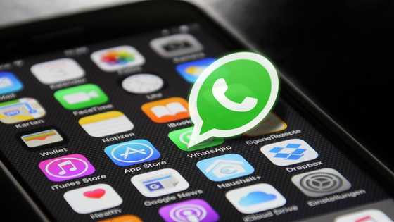 Get a US number for WhatsApp right now!