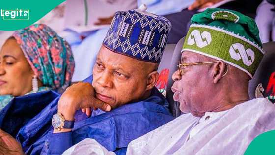 'Abin da zai hana Musulmi 'yan Arewa zaben shugaban kasa': Jigon APC ya yi gargadi